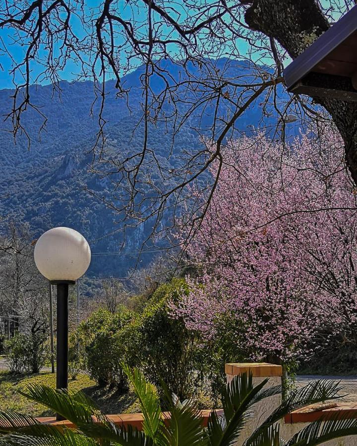 Bed and Breakfast Il Ruscello San Severino Exterior foto